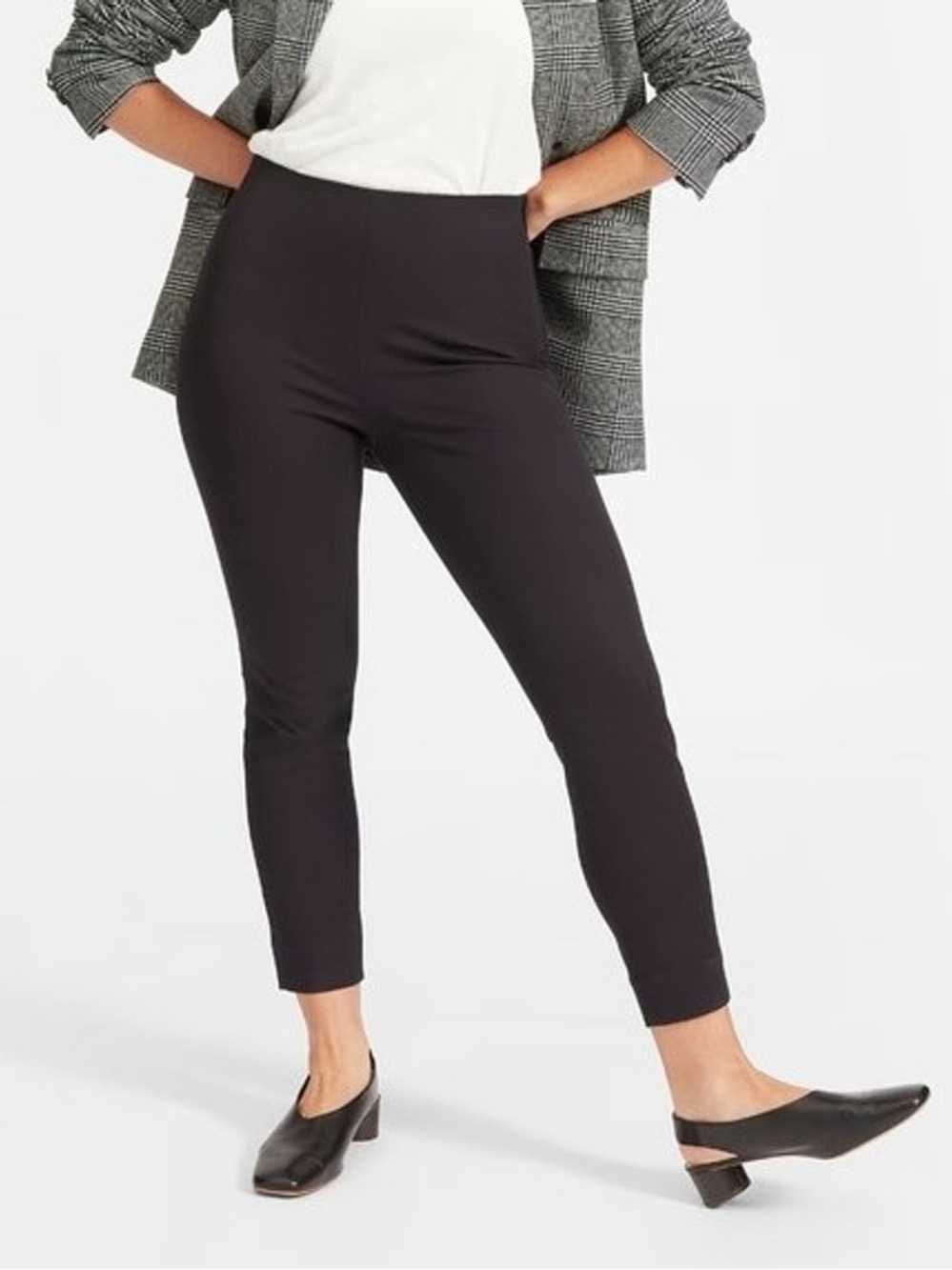 Everlane Side Zip Cotton Ankle Work Pant, Size 16 - NWT